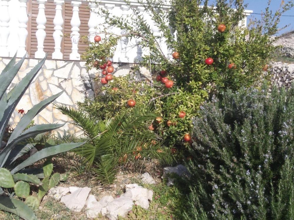 Apartment In Kustici With Balcony, Wifi, Washing Machine Luaran gambar
